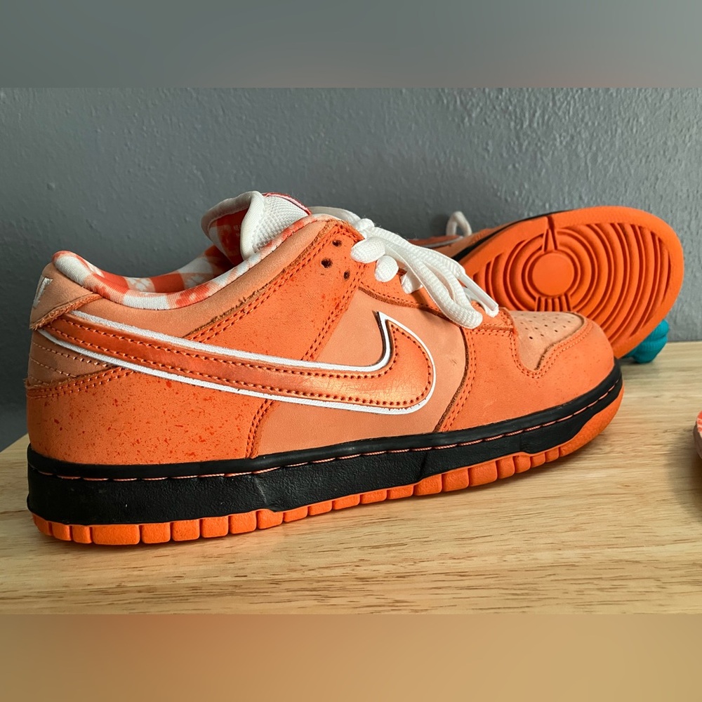 CONCEPTS x Nike Dunk Low SB Orange Lobster RARE Sneakers FD8776-800 🦞 Shoes - Picture 8 of 16